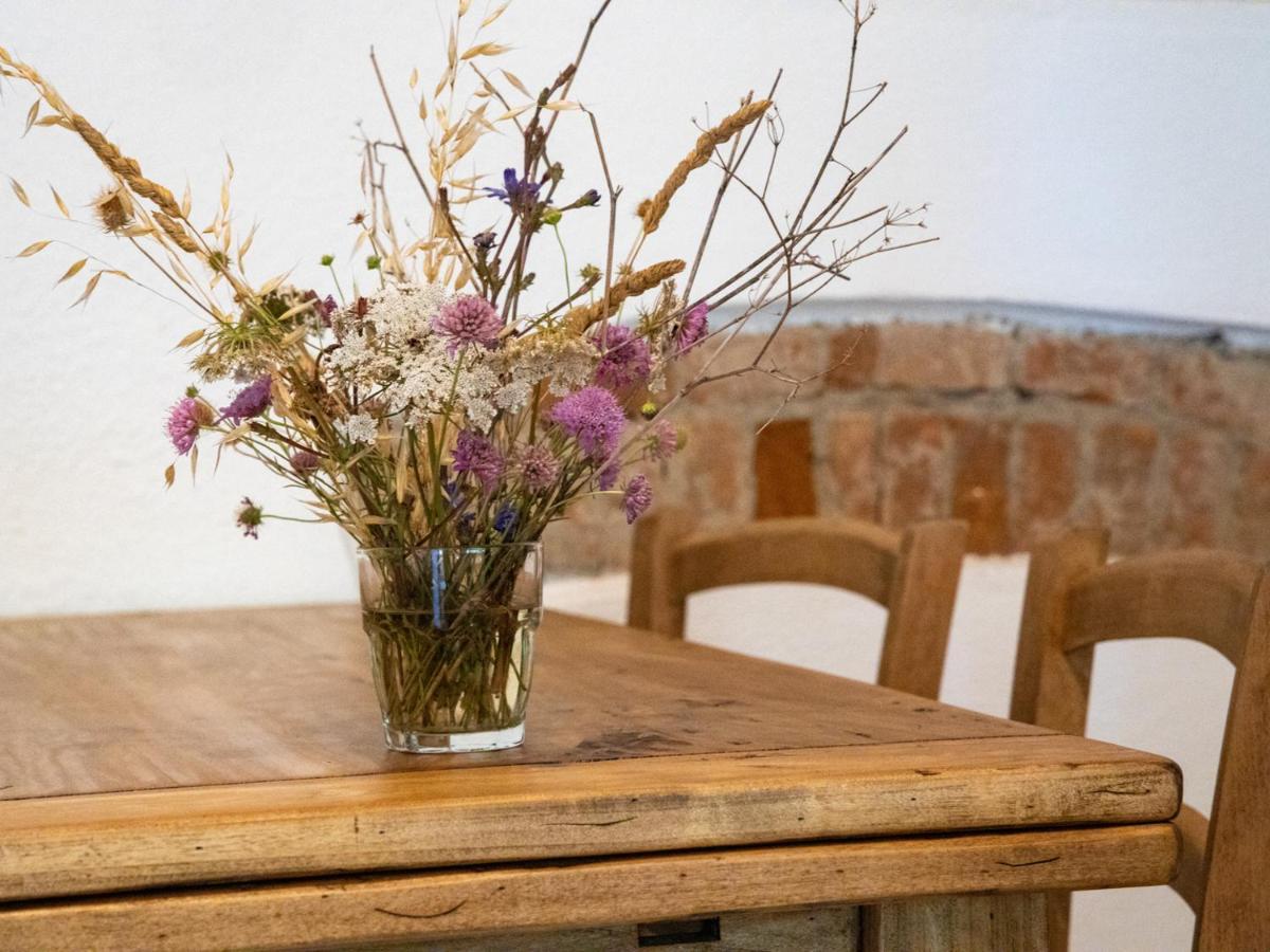 그레세토 Agriturismo Salcino 빌라 외부 사진